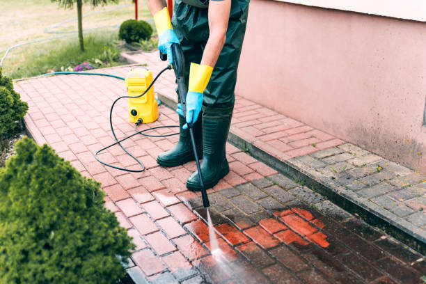 Best Solar Panel Cleaning  in Fincastle, TN